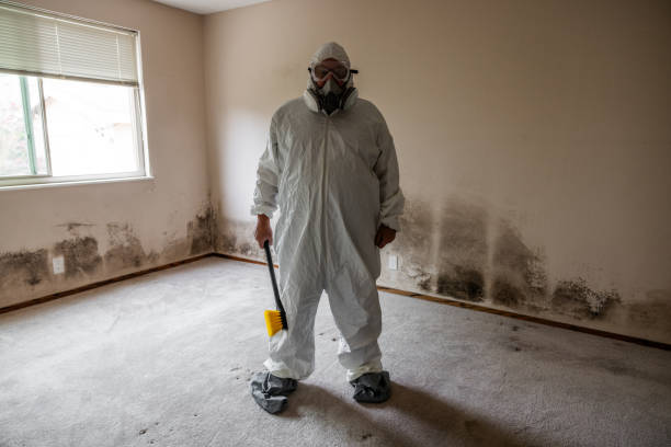 Best Mold Damage Restoration  in Kettering, MD